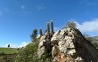 Preview photo Echinopsis bertramiana