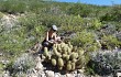 Anteprima di Echinopsis huascha