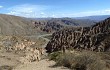 Vista previa de Echinopsis tarijensis