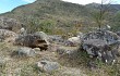 Anteprima di Echinopsis obrepanda