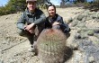 Preview photo Echinopsis randallii