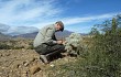 Preview photo Cylindropuntia tunicata