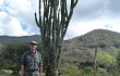 Preview photo Cereus stenogonus