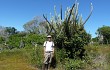 Preview photo Pilosocereus catingicola